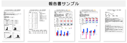 報告書サンプル